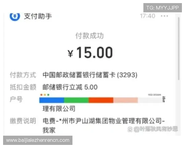 云顶国际app官网支付方式介绍,支持多种支付渠道保障用户资金安全与便捷体验 云顶国际app官网支付方式介绍,支持多种支付渠道保障用户资金安全与便捷体验