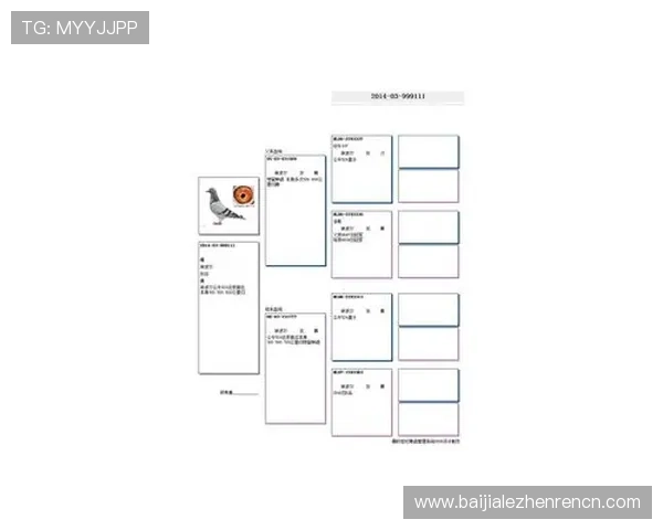 解析AG电子评级制度对玩家体验与游戏公平的影响效果