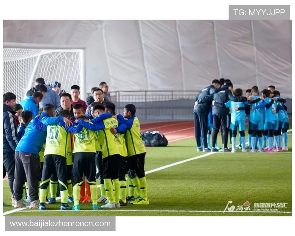 欧博真人足球电脑版赛事模式详解，体验真实足球比赛的激烈与精彩